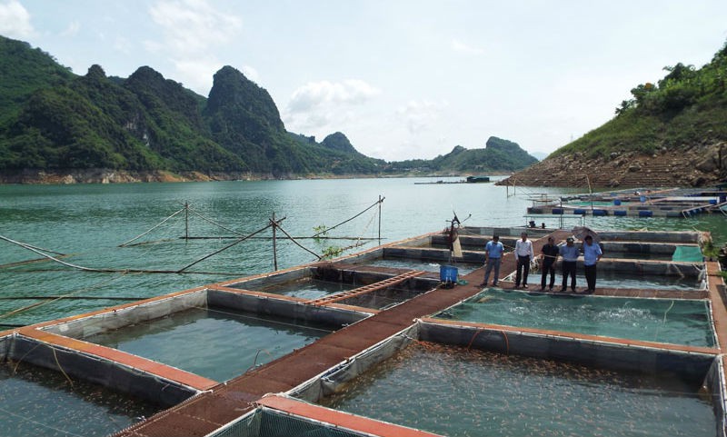 Ph&amp;aacute;t triển kinh tế v&amp;ugrave;ng hồ gắn với du lịch cộng đồng v&amp;agrave; nu&amp;ocirc;i trồng thủy sản