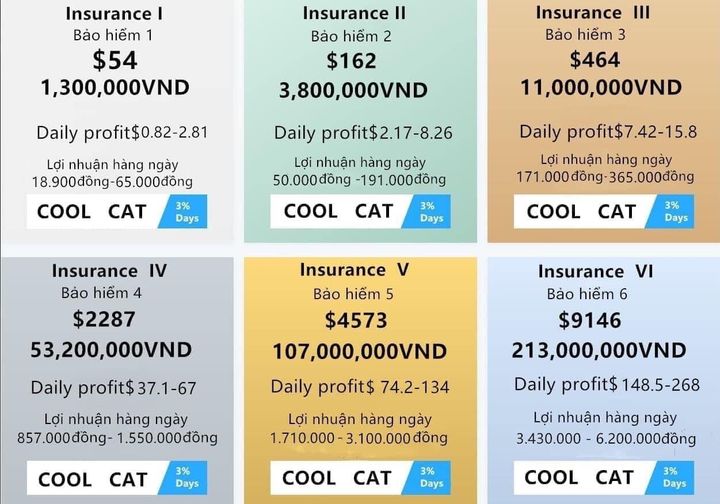 C&amp;aacute;c g&amp;oacute;i bảo hiểm vốn của Coolcat