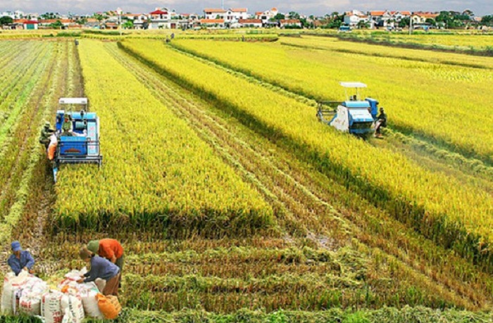 Ninh B&amp;igrave;nh tập trung đầu tư mở rộng m&amp;ocirc; h&amp;igrave;nh li&amp;ecirc;n kết, x&amp;acirc;y dựng v&amp;ugrave;ng sản xuất v&amp;agrave; ứng dụng khoa học c&amp;ocirc;ng nghệ v&amp;agrave;o sản xuất. Ảnh: Internet