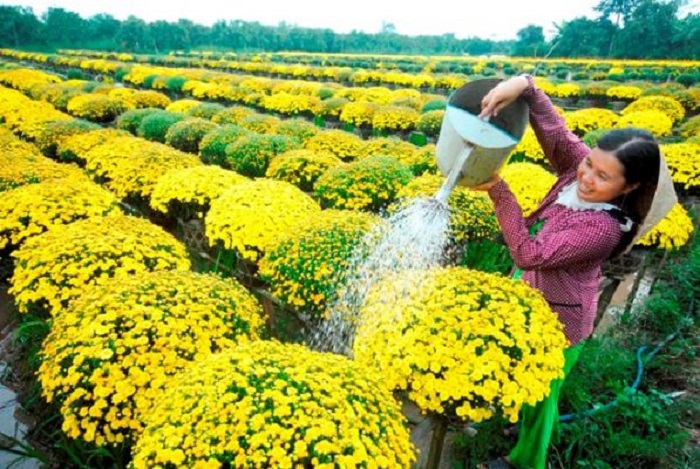 Ph&amp;aacute;t triển hoa c&amp;acirc;y cảnh, g&amp;oacute;p phần n&amp;acirc;ng cao hiệu quả x&amp;acirc;y dựng n&amp;ocirc;ng th&amp;ocirc;n mới tr&amp;ecirc;n địa b&amp;agrave;n H&amp;agrave; Nội. Ảnh: Internet