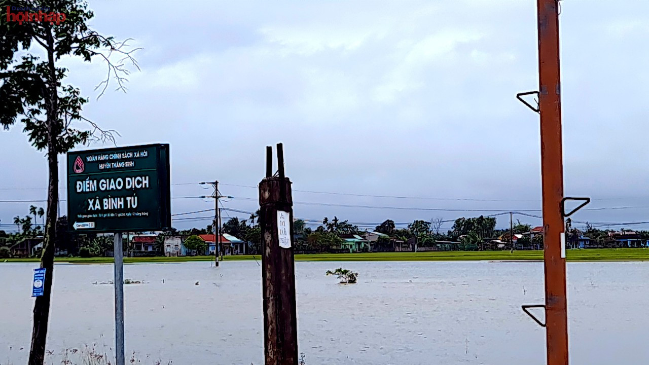 C&amp;aacute;nh đồng l&amp;uacute;a Đ&amp;ocirc;ng Xu&amp;acirc;n tại x&amp;atilde; B&amp;igrave;nh T&amp;uacute;, huyện Thăng B&amp;igrave;nh ngập ch&amp;igrave;m trong nước