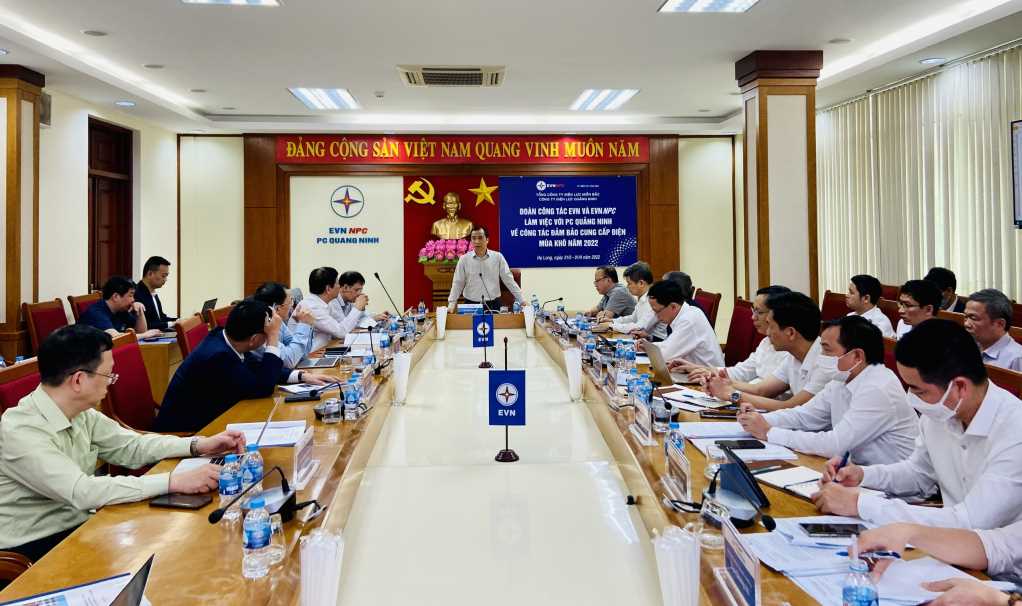 &amp;Ocirc;ng Ng&amp;ocirc; Sơn Hải  Ph&amp;oacute; Tổng gi&amp;aacute;m đốc Tập đo&amp;agrave;n Điện lực Việt Nam ph&amp;aacute;t biểu tại buổi l&amp;agrave;m việc