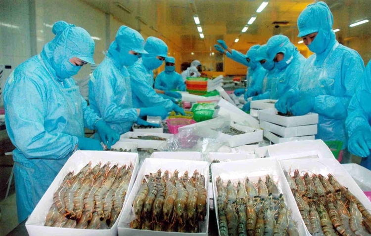 Xuất khẩu thủy sản sang Trung Quốc tăng trở lại