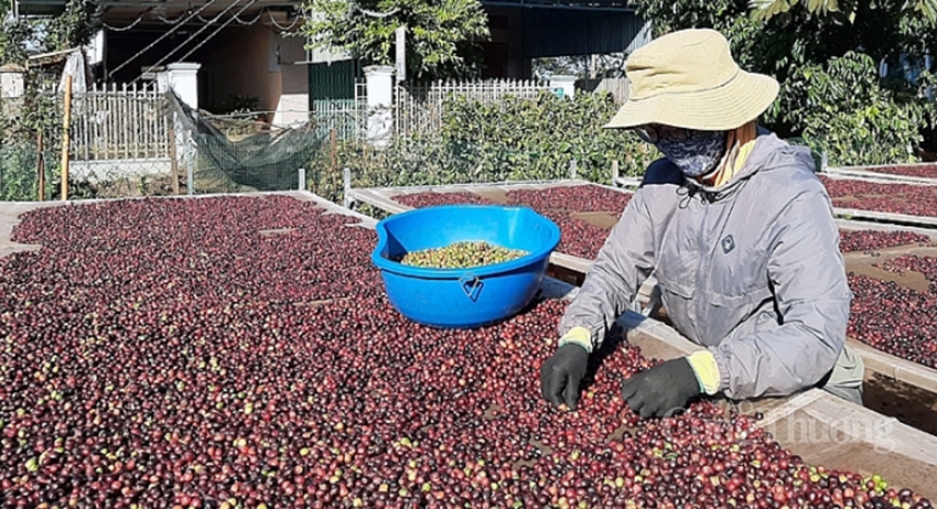 Sắp diễn ra Phi&amp;ecirc;n tư vấn xuất khẩu sang thị trường Nhật Bản