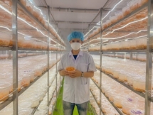 Tuổi thơ cơ cực hun đúc cho chàng trai 9X kiếm trăm triệu mỗi tháng từ nấm