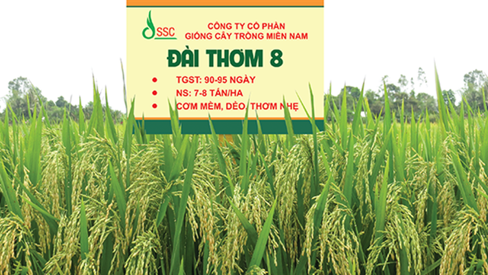 L&amp;atilde;i r&amp;ograve;ng của Giống c&amp;acirc;y trồng Miền Nam tăng mạnh trong qu&amp;yacute; đầu năm