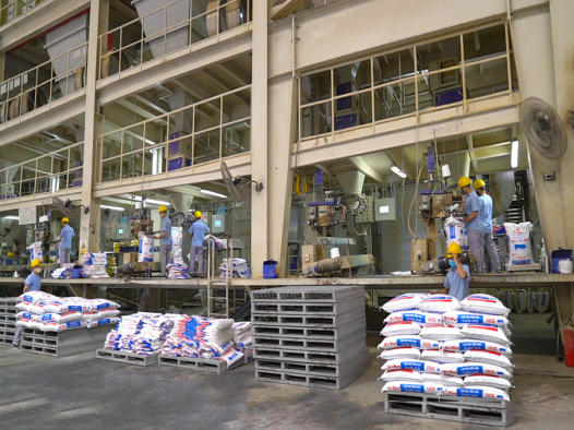 Trong năm 2021, Vinafeed Group cung cấp cho thị trường nội địa khoảng 500,000 tấn thức ăn chăn nu&amp;ocirc;i