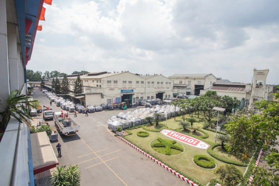 Sai phạm trong lĩnh vực chứng khoán, Công ty CP Thiết bị điện bị xử phạt