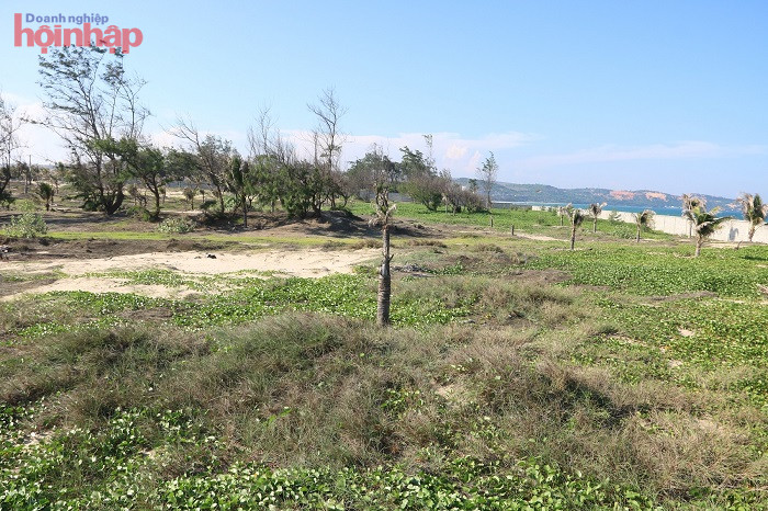 Dự &amp;aacute;n khu du lịch Xu&amp;acirc;n Quỳnh