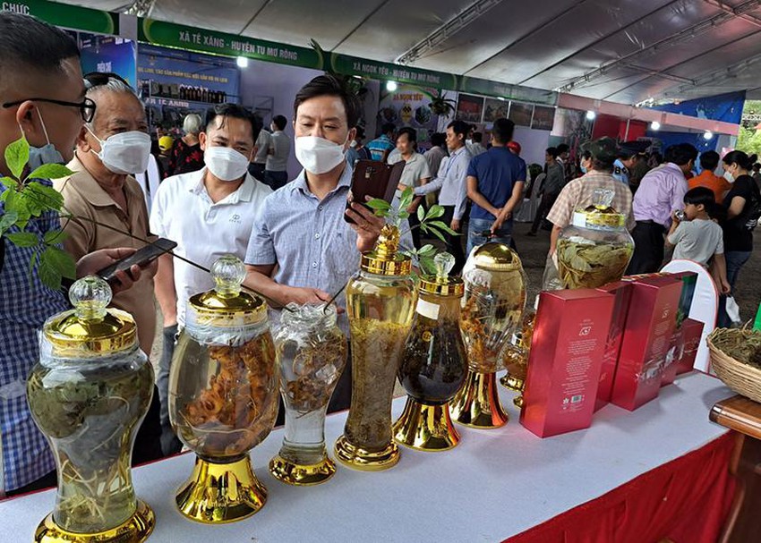 Việc tổ chức phi&amp;ecirc;n chợ lần n&amp;agrave;y cũng ch&amp;iacute;nh l&amp;agrave; kỳ vọng lớn để tạo một hướng đi mới đối với ph&amp;aacute;t triển S&amp;acirc;m Ngọc Linh v&amp;agrave; c&amp;aacute;c loại dược liệu đặc hữu tại huyện Tu Mơ R&amp;ocirc;ng, kh&amp;ocirc;ng những tạo ra sinh kế cho người d&amp;acirc;n m&amp;agrave; c&amp;ograve;n l&amp;agrave; con đường ph&amp;aacute;t triển kinh tế đa dạng,