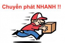 Dịch vụ chuyển phát nhanh hoạt động xuyên suốt dịp nghỉ lễ