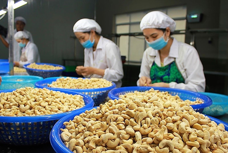Bộ C&amp;ocirc;ng Thương c&amp;oacute; tr&amp;aacute;ch nhiệm nghi&amp;ecirc;n cứu phản &amp;aacute;nh về rủi ro lừa đảo trong xuất khẩu n&amp;ocirc;ng sản