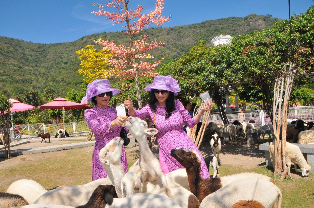 Thương y&amp;ecirc;u những ch&amp;uacute;ng sanh