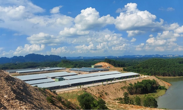 Khu li&amp;ecirc;n hợp sản xuất chăn nu&amp;ocirc;i c&amp;ocirc;ng nghệ cao Xu&amp;acirc;n Thiện Thanh H&amp;oacute;a 1 đ&amp;atilde; đi v&amp;agrave;o hoạt động ở giai đoạn 1