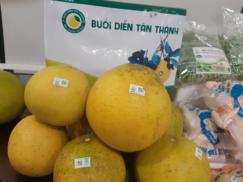 Bưởi Diễn T&amp;acirc;n Th&amp;agrave;nh, sản phẩm OCOP đạt ti&amp;ecirc;u chuẩn 3 sao