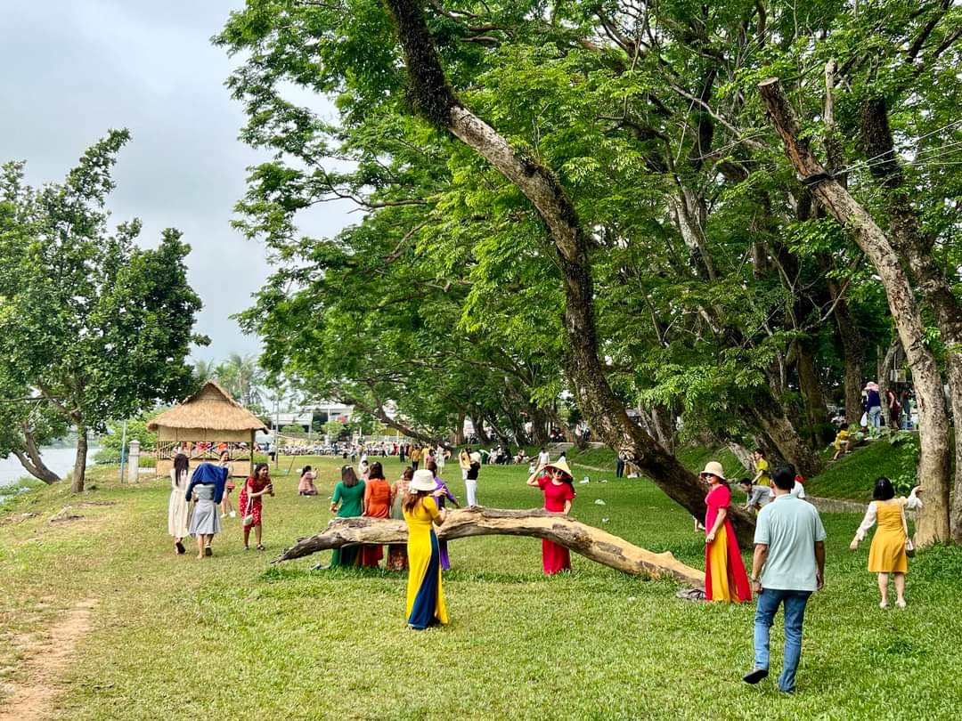 Đặc biệt l&amp;agrave; ở Vườn Cừa, l&amp;agrave;ng sinh th&amp;aacute;i Hương Tr&amp;agrave;, phường H&amp;ograve;a Hương. Nơi đ&amp;acirc;y, c&amp;oacute; h&amp;agrave;ng sưa v&amp;agrave; vườn cừa cổ thụ h&amp;agrave;ng trăm năm tuổi, hoa sưa d&amp;aacute;t v&amp;agrave;ng khắp lối đi v&amp;agrave; soi b&amp;oacute;ng nước b&amp;ecirc;n bờ s&amp;ocirc;ng Tam Kỳ