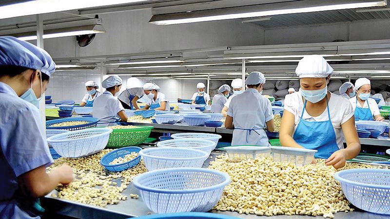 Hạt điều của Việt Nam l&amp;agrave; một trong những mặt h&amp;agrave;ng chủ lực xuất khẩu v&amp;agrave;o thị trường Halal
