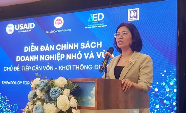 B&amp;agrave; Trịnh Thị Hương &amp;ndash; Ph&amp;oacute; Cục trưởng Cục Ph&amp;aacute;t triển DN (Bộ KH&amp;amp;&amp;amp;ĐT) ph&amp;aacute;t biểu tại diễn đ&amp;agrave;n