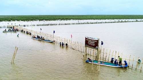 Đo&amp;agrave;n l&amp;atilde;nh đạo v&amp;agrave; nh&amp;acirc;n vi&amp;ecirc;n Vinamilk tham gia khoanh nu&amp;ocirc;i x&amp;uacute;c tiến t&amp;aacute;i sinh 25ha rừng ngập mặn tại C&amp;agrave; Mau hồi th&amp;aacute;ng 8/2023.