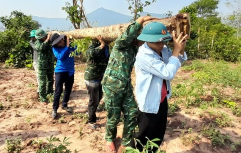 Nh&amp;agrave; bị sập do lốc xo&amp;aacute;y, lực lượng bi&amp;ecirc;n ph&amp;ograve;ng v&amp;agrave; đo&amp;agrave;n vi&amp;ecirc;n thanh ni&amp;ecirc;n đi chặt gỗ, dựng lại nh&amp;agrave; cho d&amp;acirc;n