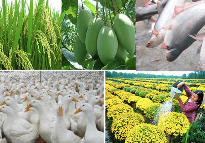 Th&amp;aacute;ng Năm sản xuất n&amp;ocirc;ng, l&amp;acirc;m nghiệp v&amp;agrave; thủy sản diễn ra trong điều kiện thời tiết tương đối thuận lợi. Ảnh: Internet