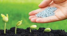 Giá phân bón tăng phi mã, ở mức chưa từng có trong 50 năm