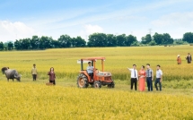 Chính sách mới về hỗ trợ bảo hiểm nông nghiệp