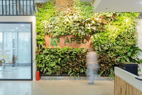 APEC Group đã trả hơn 500 tỷ đồng trái phiếu cho nhà đầu tư