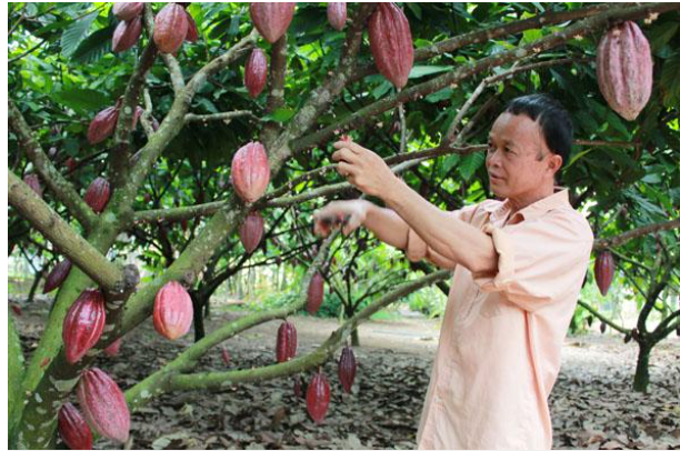 Ảnh minh họa