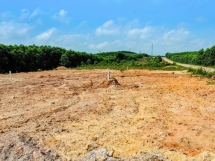 Thủ tướng chỉ đạo xử nghiêm tình trạng phân lô bán nền, lấn chiếm đất rừng
