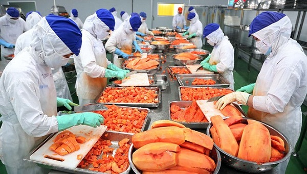 Việc tham gia cụm li&amp;ecirc;n kết ng&amp;agrave;nh, chuỗi gi&amp;aacute; trị đem lại nhiều cơ hội, lợi &amp;iacute;ch cho c&amp;aacute;c doanh nghiệp, gi&amp;uacute;p c&amp;aacute;c doanh nghiệp hỗ trợ nhau trong sản xuất, cung ứng dịch vụ v&amp;agrave; ti&amp;ecirc;u thụ sản phẩm, từ đ&amp;oacute; tạo chỗ đứng tr&amp;ecirc;n thị trường (Ảnh minh họa)