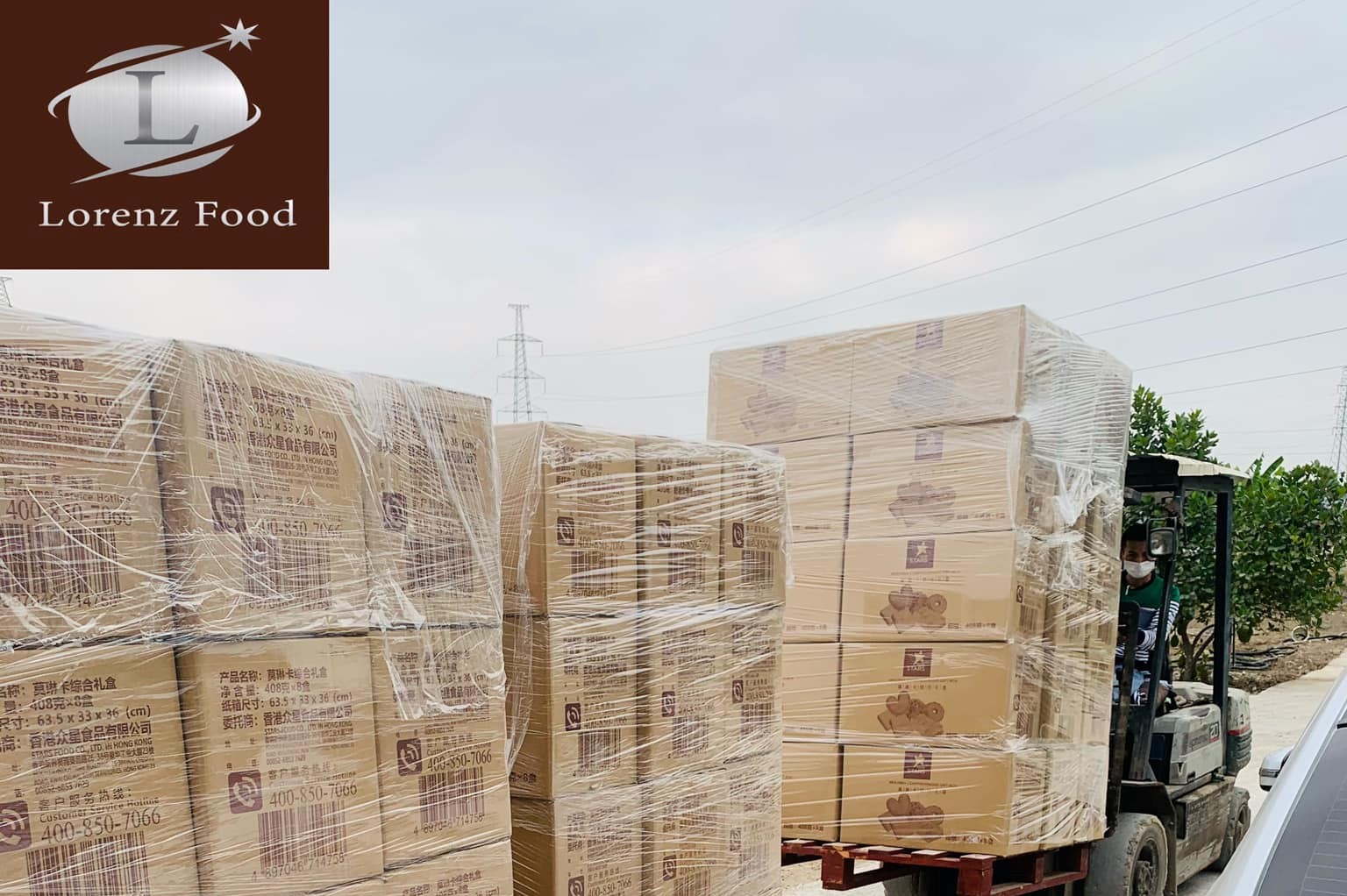 Dừng l&amp;agrave;m thủ tục hải quan để cưỡng chế thuế LORENZ FOOD Việt Nam