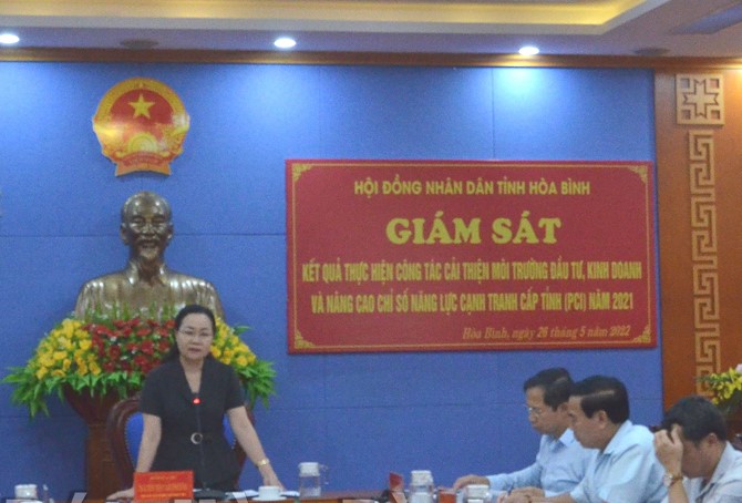 B&amp;agrave;  Nguyễn Thị Cẩm Phương, Ph&amp;oacute; Chủ tịch TT HĐND tỉnh ph&amp;aacute;t biểu kết luận buổi gi&amp;aacute;m s&amp;aacute;t.