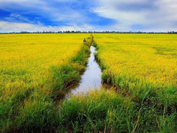 Ph&amp;oacute; Thủ tướng L&amp;ecirc; Văn Th&amp;agrave;nh đ&amp;atilde; chấp thuận cho UBND tỉnh Th&amp;aacute;i B&amp;igrave;nh chuyển mục đ&amp;iacute;ch sử dụng 33,3 ha đất trồng l&amp;uacute;a sang đất phi n&amp;ocirc;ng nghiệp để thực hiện Dự &amp;aacute;n.
