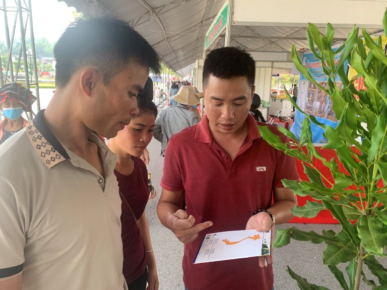 Ảnh minh họa