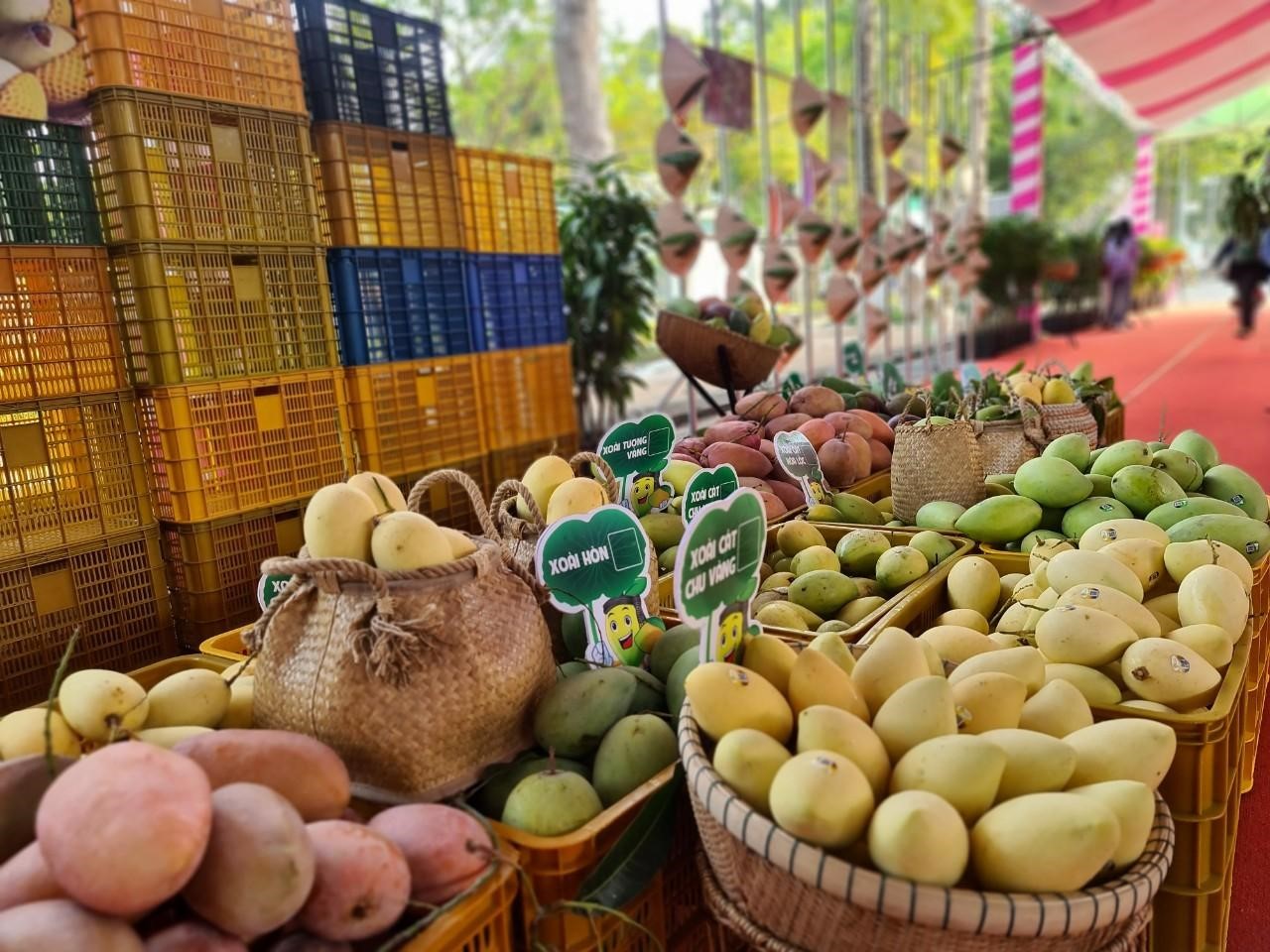 C&amp;aacute;c loại xo&amp;agrave;i ngon v&amp;agrave; đẹp mắt được c&amp;aacute;c nh&amp;agrave; vườn tuyển chọn đem đến lễ hội