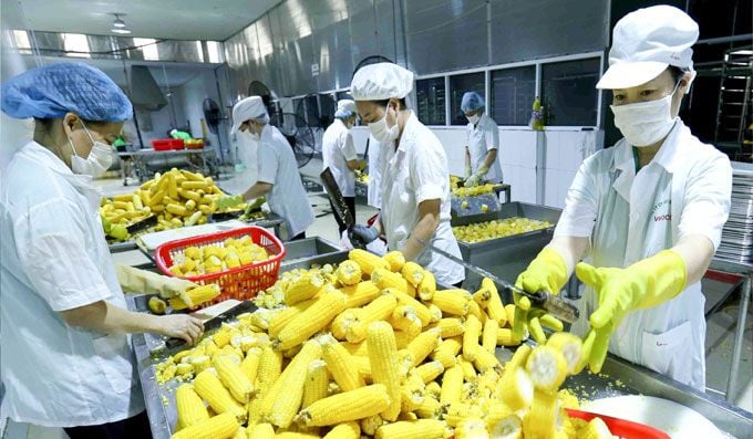 Phối hợp để bảo vệ lợi &amp;iacute;ch của ng&amp;agrave;nh n&amp;ocirc;ng, l&amp;acirc;m, thủy sản Việt Nam