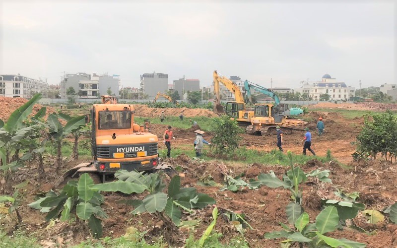 Phải chủ động xử l&amp;yacute; vi phạm tr&amp;ecirc;n đất n&amp;ocirc;ng nghiệp