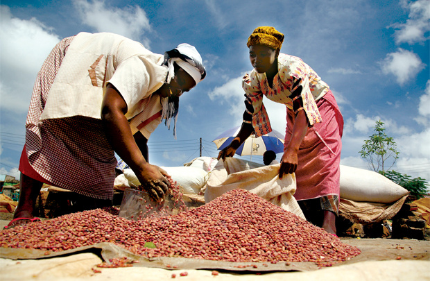 AfCFTA v&amp;agrave; những cơ hội mới cho giao thương Việt Nam - ch&amp;acirc;u Phi