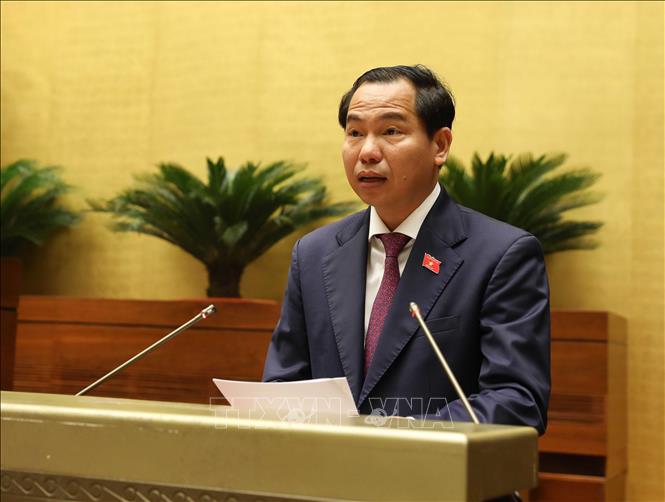 Ảnh minh họa