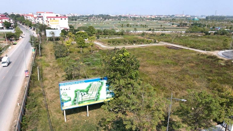 Ảnh minh họa (Nguồn Internet).