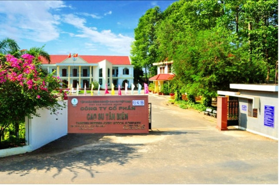 Lợi nhuận sau thuế quý II của Cao su Tân Biên ước đạt 32 tỷ đồng