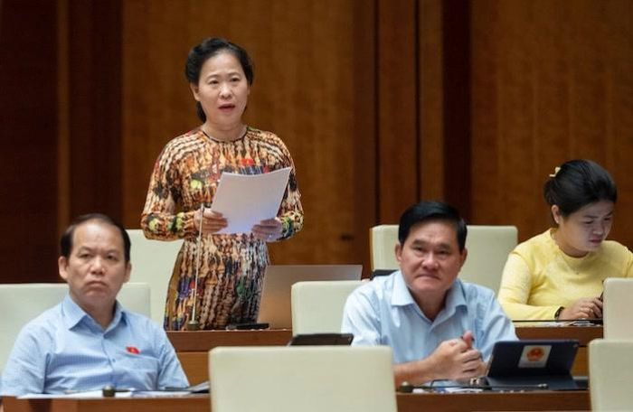 Đại biểu T&amp;ocirc; &amp;Aacute;i Vang đ&amp;atilde; ph&amp;aacute;t biểu về c&amp;aacute;c vấn đề kinh tế x&amp;atilde; hội