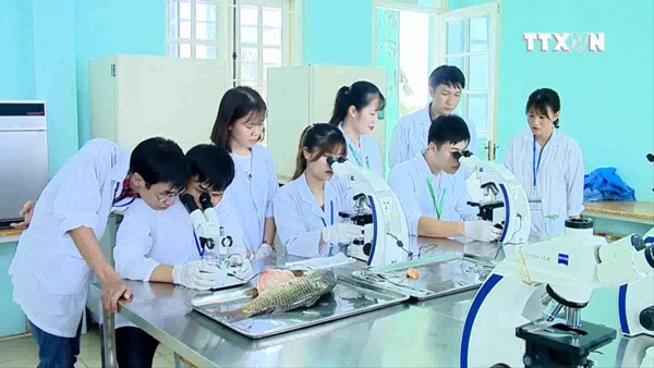 Một tiết thực h&amp;agrave;nh của sinh vi&amp;ecirc;n ng&amp;agrave;nh Bệnh học thủy sản