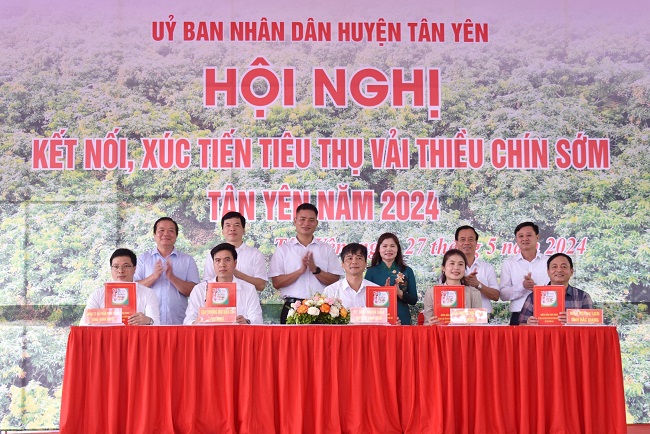 C&amp;aacute;c đại biểu chứng kiến đại diện doanh nghiệp, hợp t&amp;aacute;c x&amp;atilde; k&amp;yacute; Bi&amp;ecirc;n bản ghi nhớ ti&amp;ecirc;u thụ vải thiều sớm T&amp;acirc;n Y&amp;ecirc;n.