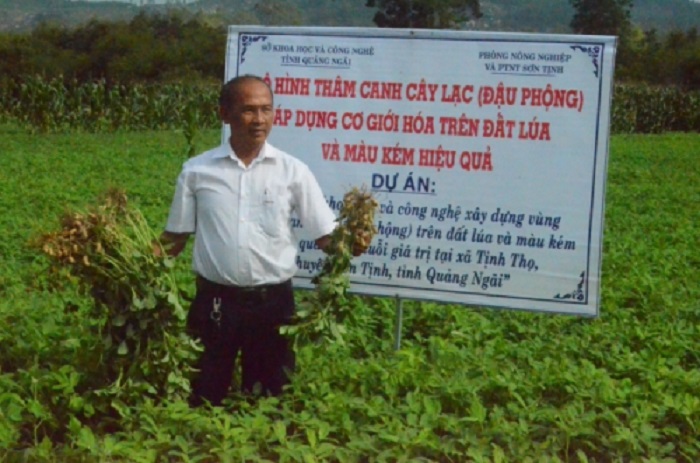 Lạc l&amp;agrave; c&amp;acirc;y trồng rất ph&amp;ugrave; hợp cho c&amp;aacute;c v&amp;ugrave;ng đất c&amp;aacute;t kh&amp;ocirc; cằn, kh&amp;oacute; khăn về nước tưới tại Quảng Ng&amp;atilde;i
