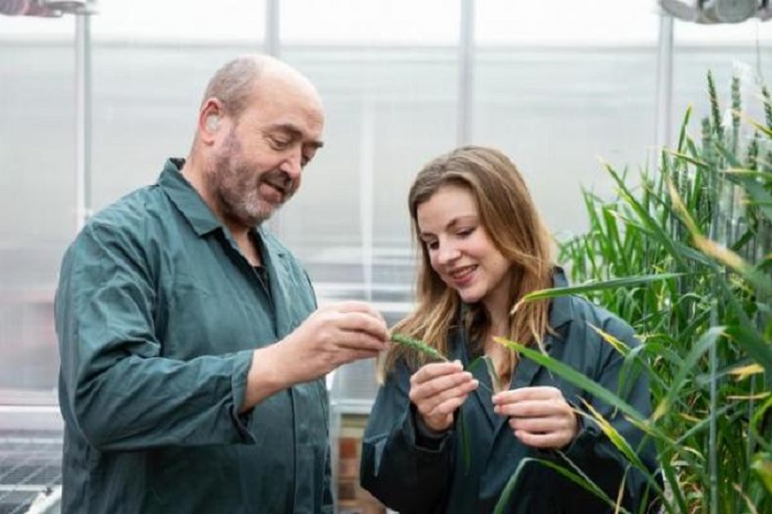 C&amp;aacute;c kỹ thuật hệ gene mới gi&amp;uacute;p c&amp;acirc;y trồng c&amp;oacute; khả năng chống chịu với bệnh tật v&amp;agrave; c&amp;aacute;c điều kiện m&amp;ocirc;i trường khắc nghiệt. Ảnh: Internet