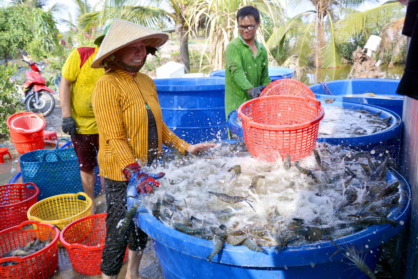 Giai đoạn 2020-2025 đẩy mạnh li&amp;ecirc;n kết sản xuất v&amp;agrave; ti&amp;ecirc;u thụ c&amp;aacute;c sản phẩm n&amp;ocirc;ng nghiệp