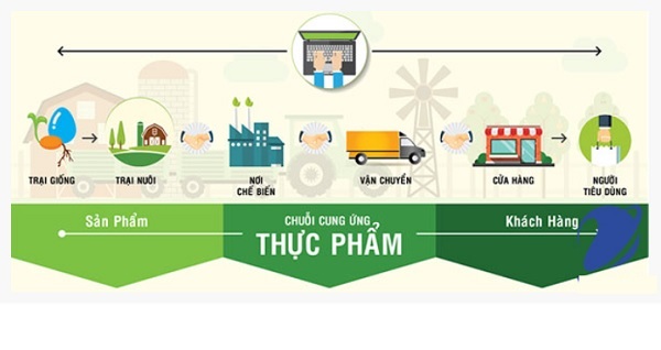 Truy xuất nguồn gốc sản phẩm chống lại h&amp;agrave;ng giả, h&amp;agrave;ng nh&amp;aacute;i, h&amp;agrave;ng k&amp;eacute;m chất lượng