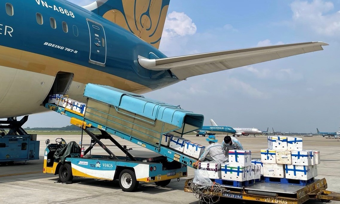 Vải thiều đang được đưa l&amp;ecirc;n m&amp;aacute;y bay để v&amp;agrave;o TP.HCM